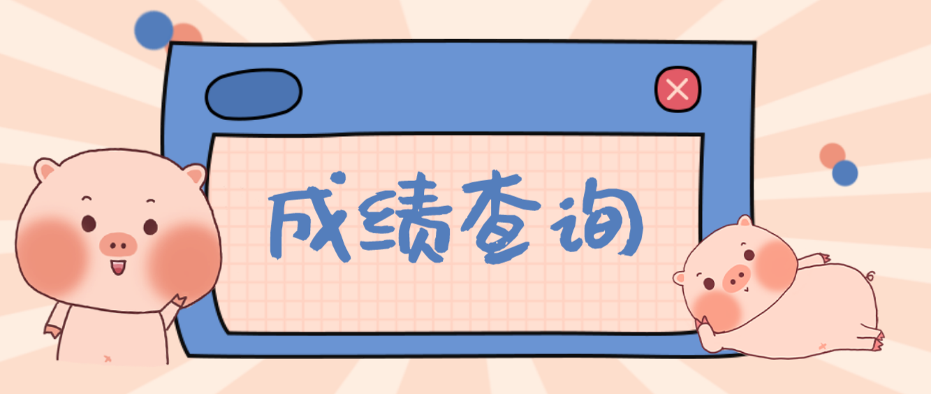 2020年山东成人高考成绩查询入口