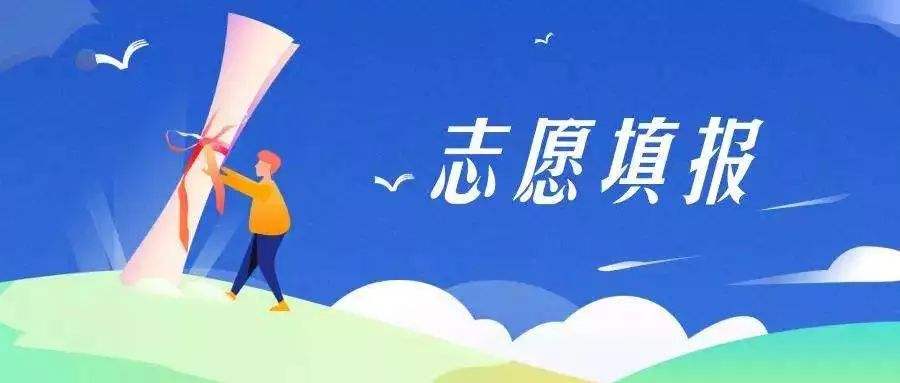 山东成考志愿填报指南是什么