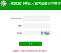 2019年山东省成人高考录取结果查询入口