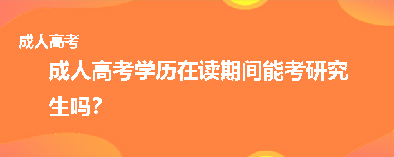 山东成人高考学历在读期间能考研究生吗？