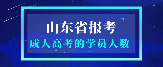 山东成考你知道每年有多少学员在报考吗？