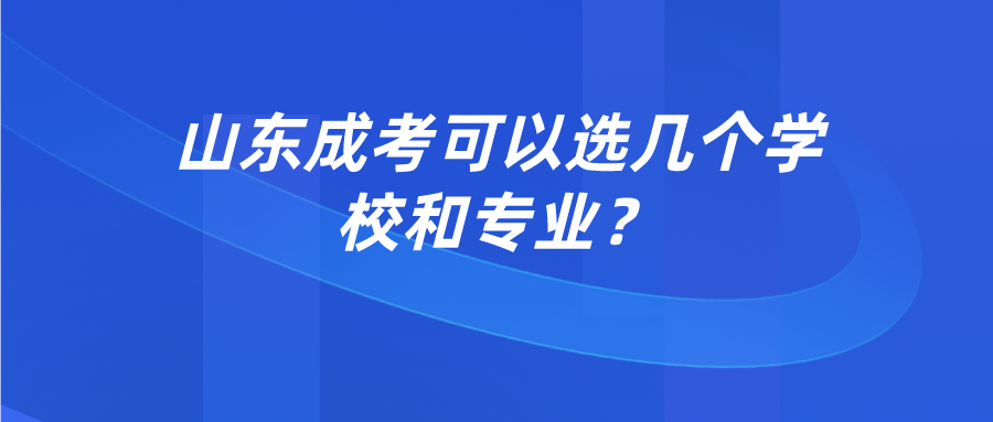 山东成考可以选几个学校和专业？