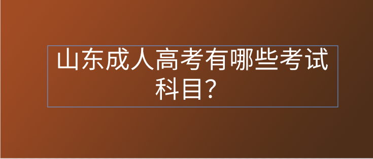 山东成考有哪些考试科目？