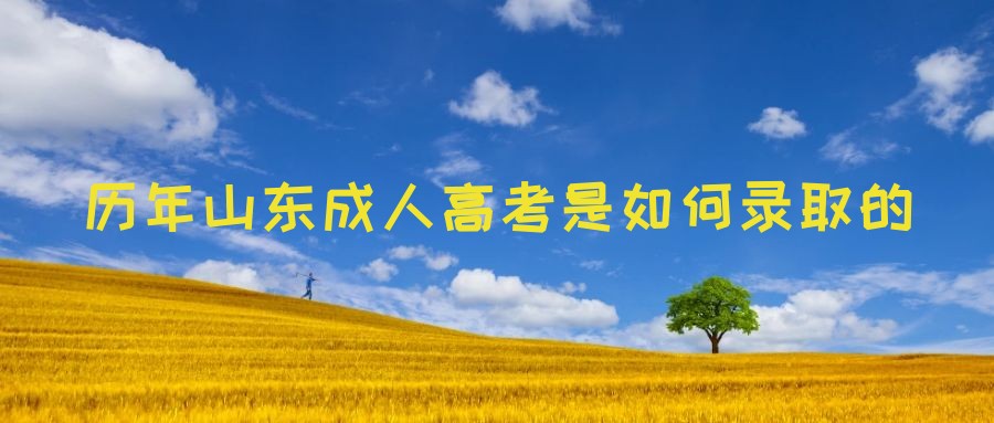 历年山东成人高考是如何录取的