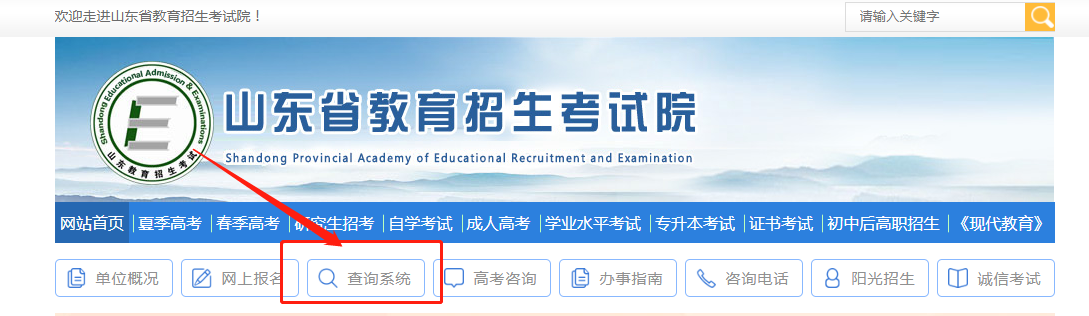 山东省成人高考成绩查询流程。