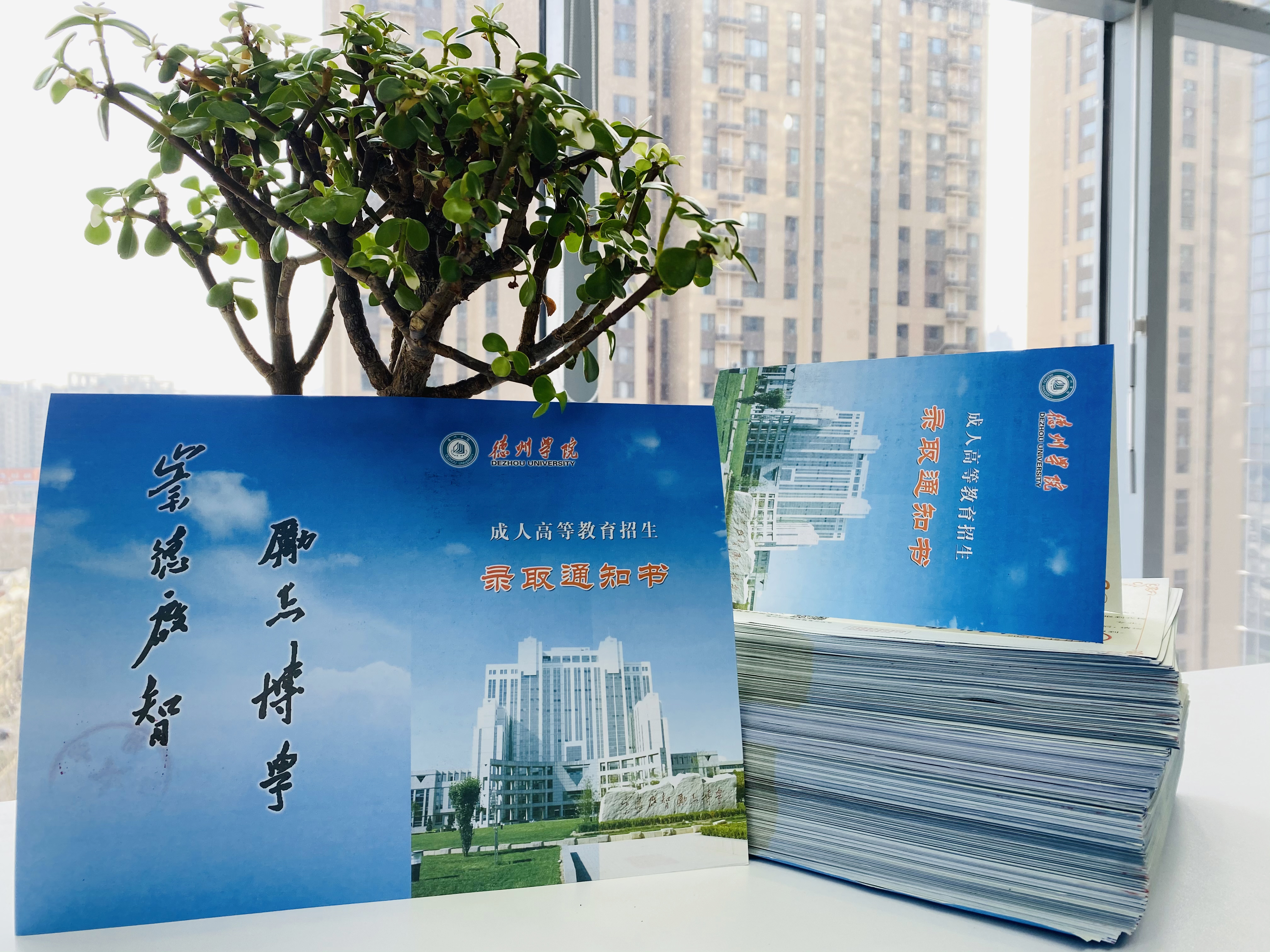 2023年德州学院成人高考录取通知书是什么样子的(图2)