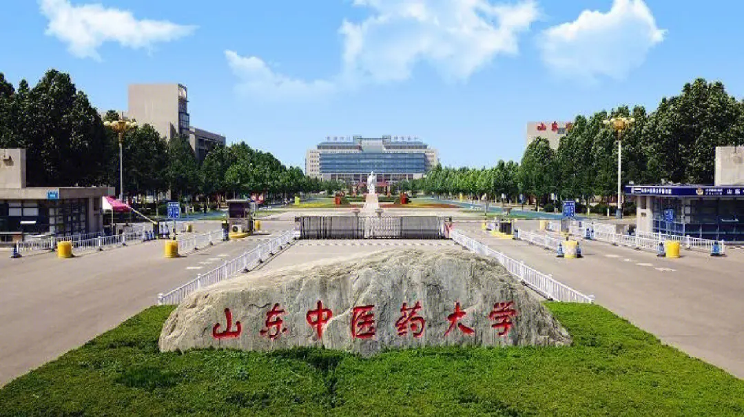 2023年怎么报名山东中医药大学成人高考