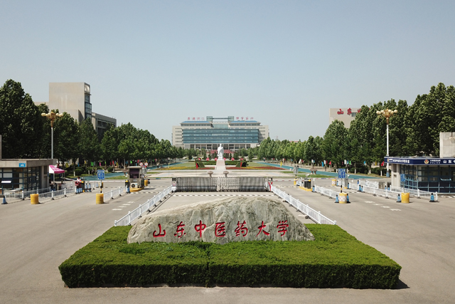 山东中医药大学成人高考毕业能考执业医师吗(图1)