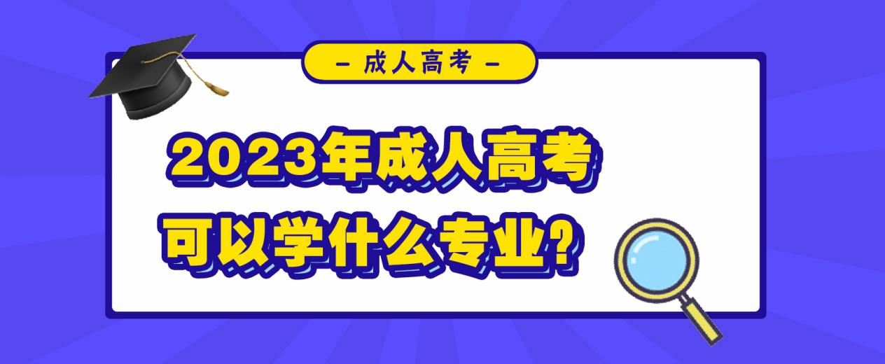 2023年报名山东成人高考可以学什么专业?