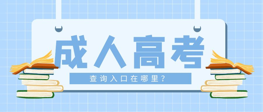 山东省成人高考查询入口在哪里