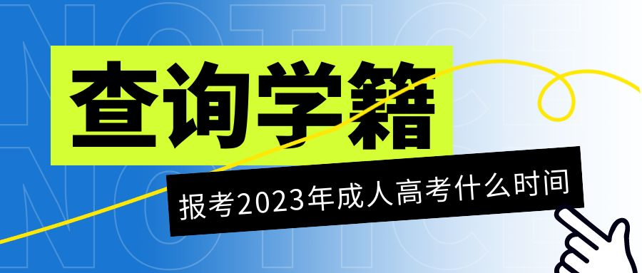 2023年参加成人高考什么时间可以查询学籍