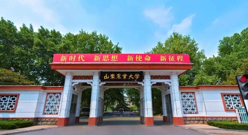 2023年山东农业大学成人高考学位申请条件是什么？