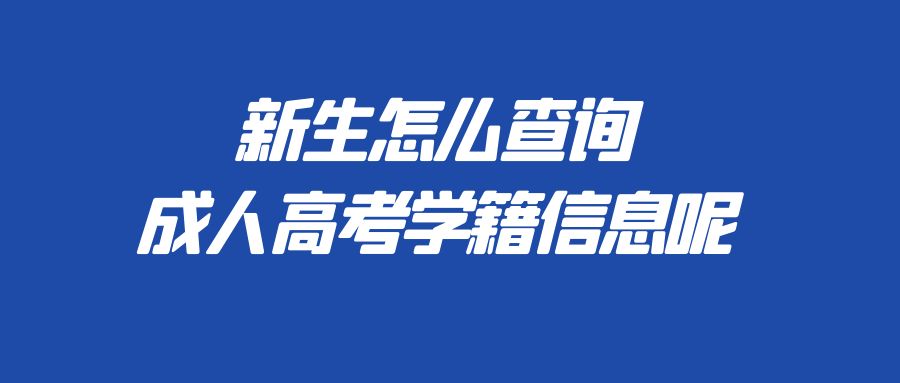 新生怎么查询成人高考学籍信息呢