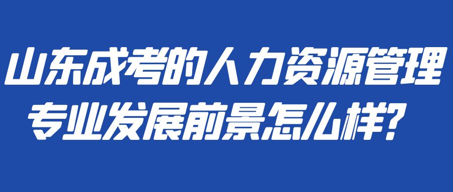 山东成考的人力资源管理专业发展前景怎么样？