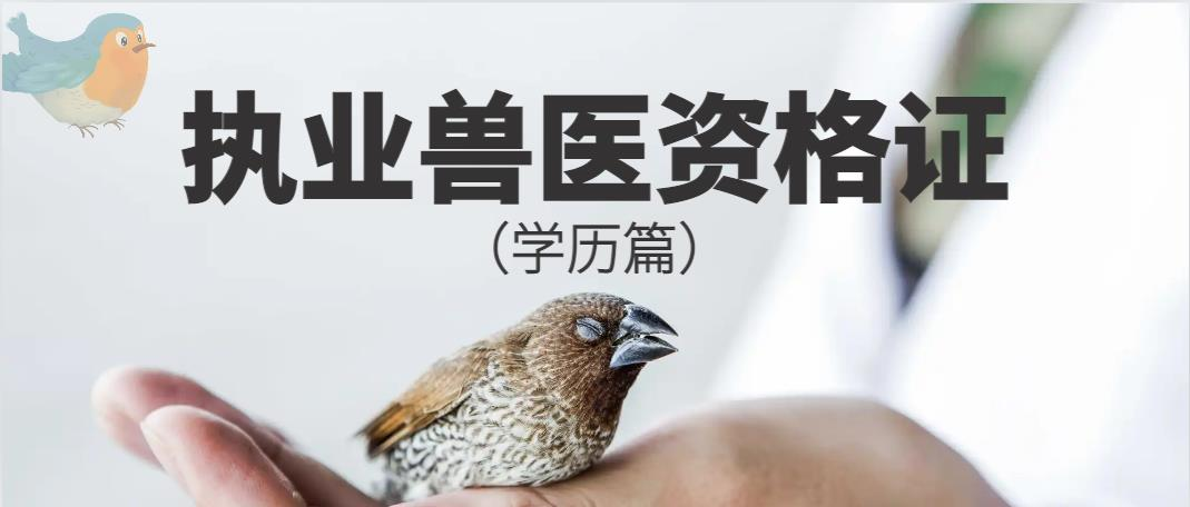 执业兽医资格证二三事（学历篇）(图1)