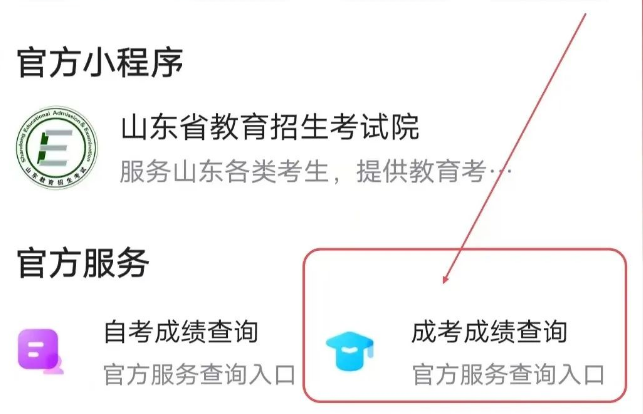 2023年山东成人高考成绩查询入口是哪个。山东成考网