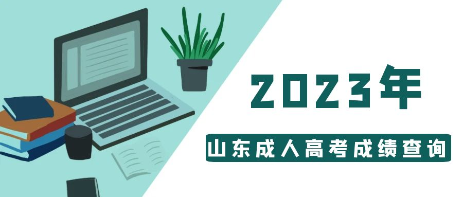 2023年成人高考可以查询成绩了吗？山东成考网