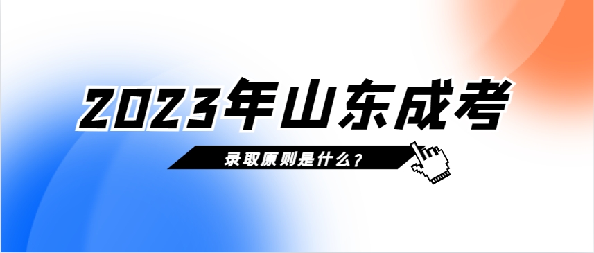 24年山东成考录取原则是什么，山东成考网