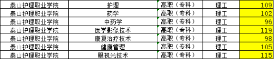 2023年泰山护理职业学院成人高考录取分数线