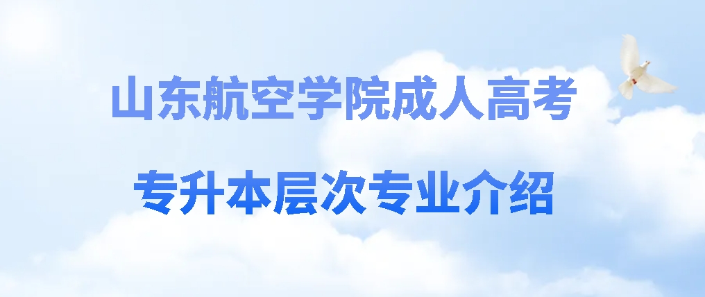 2024年山东航空学院成人高考专升本层次专业介绍