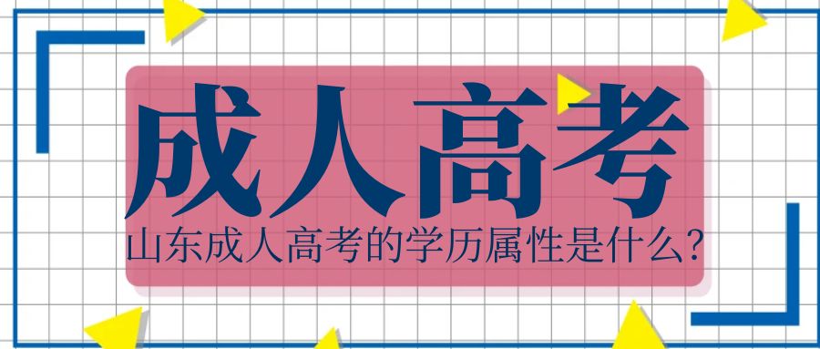 山东成人高考的学历属性是什么？