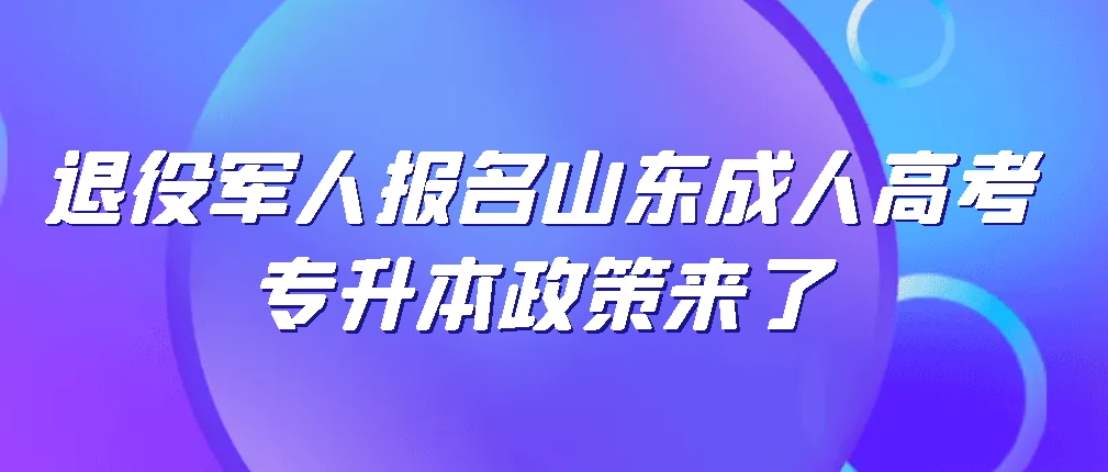 2024年退役军人报名山东成人高考专升本政策来了(图1)
