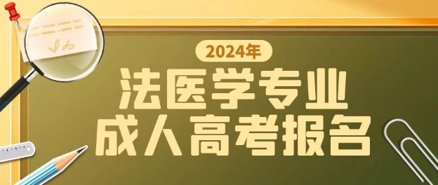 2024年山东成人高考可以报名法医学专业吗？