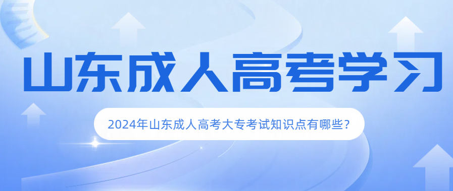 2024年山东成人高考大专考试知识点有哪些？