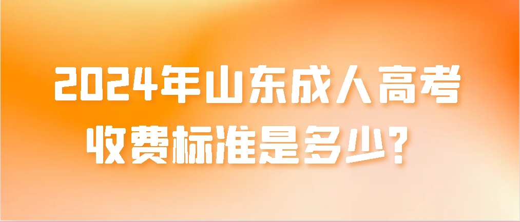 2024年山东成人高考的收费标准是多少？