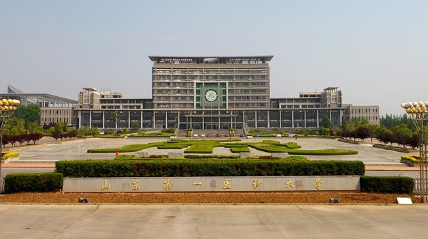 2024年山东第一医科大学成人高考最新专业备案结果