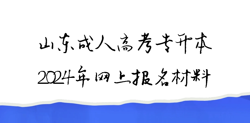 山东成人高考专升本2024年网上报名材料(图1)
