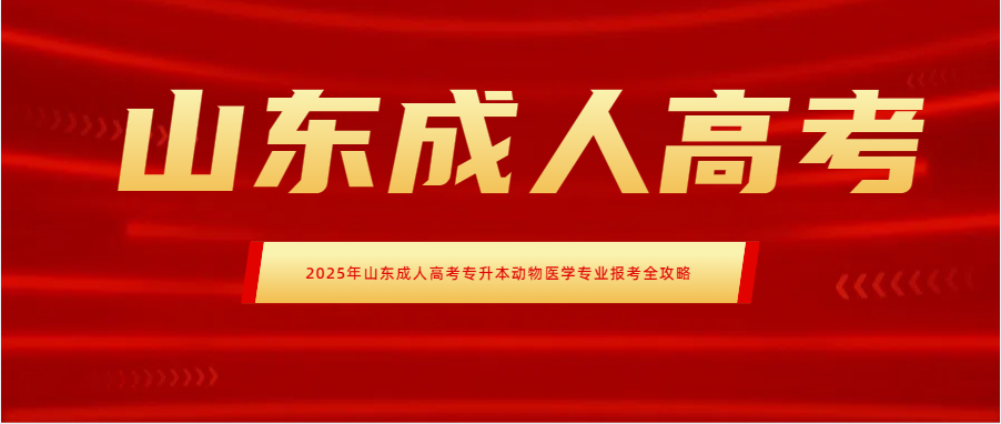 2025年山东成人高考专升本动物医学专业报考全攻略