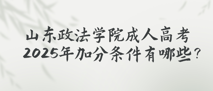 山东政法学院成人高考2025年加分条件有哪些？