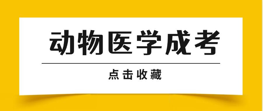 2025年山东省成人高考动物医学专业报考指南(图1)
