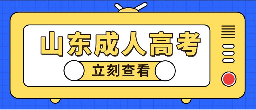 2025年山东理工大学计算机科学与技术成人高考专升本报考指南​(图1)