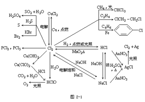 【山东省成人高考】高起点化学复习资料--“元素化(图1)