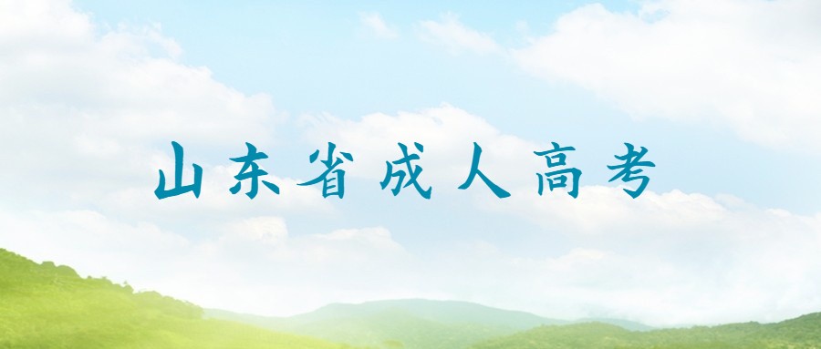 山东省省成人高考