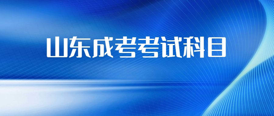 山东省成考考试科目