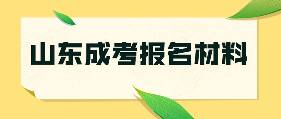 山东省成考报名材料