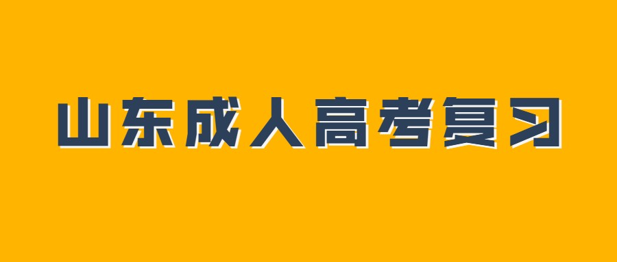 山东省成人高考复习