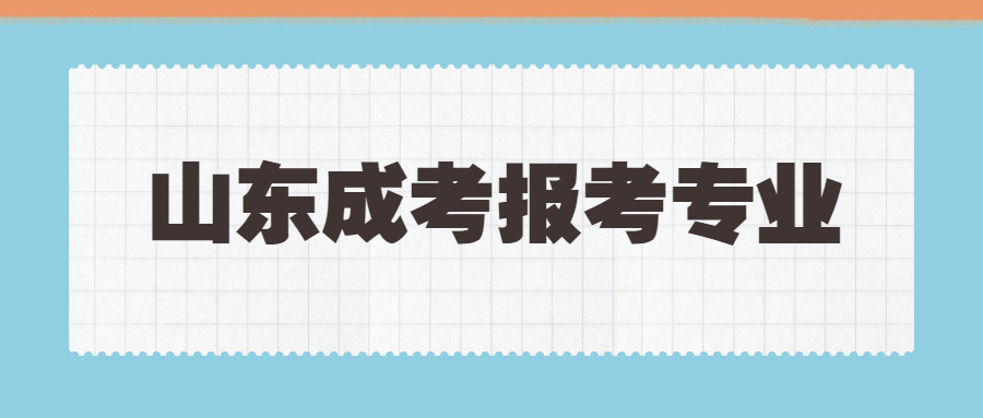 山东省成考报考专业