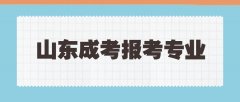 2021年山东成考报考专业时有哪些注意事项？