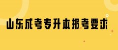 2021年山东成考专升本报考要求有哪些？