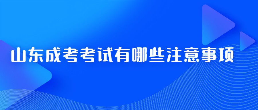 山东省成考考试